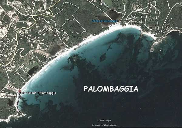 PALOMBAGGIA