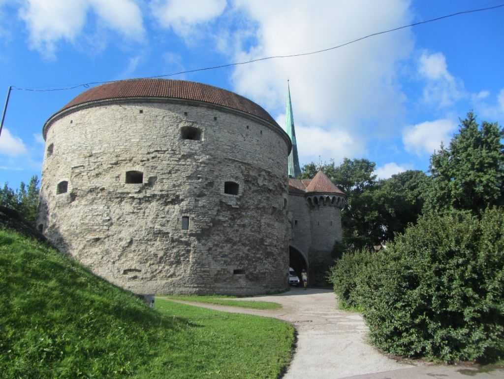 Fat Margeret Kulesi  Tallinn, Estonya