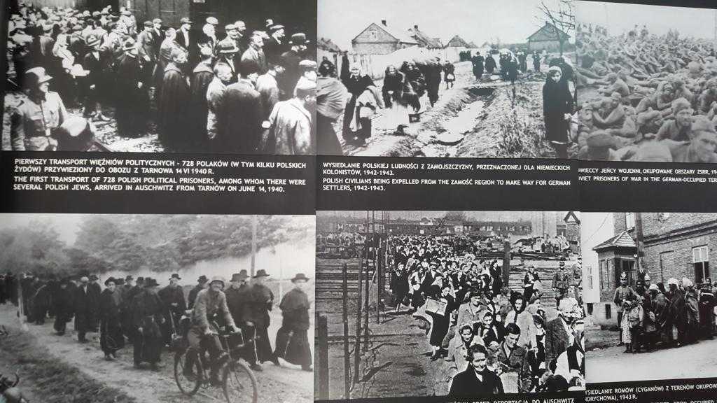 Polonyalı ve Sovyet esirlerin getirilişi